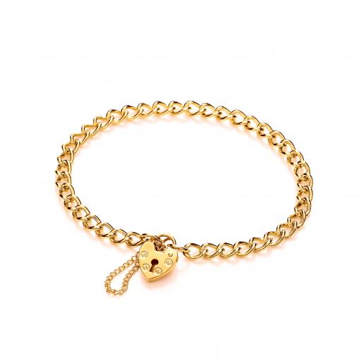 375 9ct Gold 7.6" Ladies Flat 4.7mm Round Curb Charm Bracelet