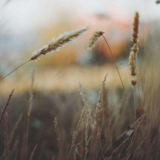 https://picsum.photos/1024?a=7